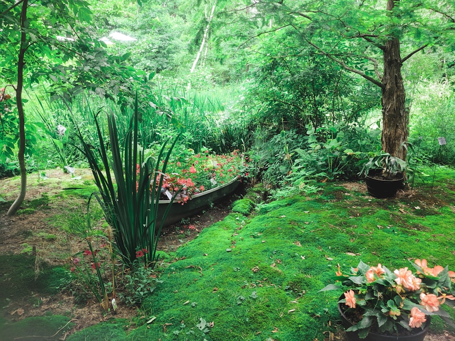 Professional landscape design and garden installation