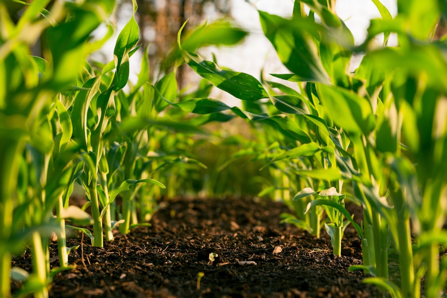 Commercial grounds maintenance and seasonal cleanup