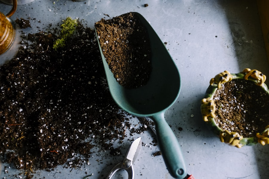 Softscaping with plants, sod, and garden beds